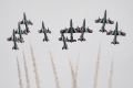 Aermacchi MB-339PAN
